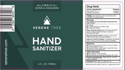 PACKAGE LABEL.PRINCIPAL DISPLAY PANEL - 100ml Hand Sanitizer Label